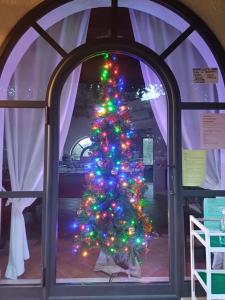 Un albero di Natale è visto attraverso una finestra di Agriturismo Bio Pian Dei Casali a Saturnia