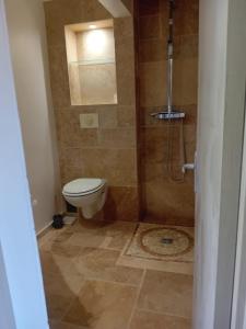 Un baño con inodoro y ducha en - Les pieds dans l'eau à 50m de la plage, côté mer caraïbe - Domaine de l'Anse CARITAN - Sainte-Anne -, en Sainte-Anne 41 fotos más