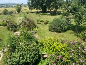 a garden filled with lots of plants and flowers at Le Clos Fanny chambre d’hôtes 