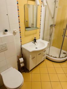 een badkamer met een wastafel, een douche en een toilet bij After Six Apartment in Bratislava