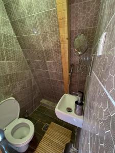 een kleine badkamer met een toilet en een wastafel bij Horizon Lodge Medurec in Ulcinj