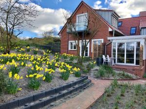 a garden in front of a house with yellow daffodils at Haus Nordland in Juist