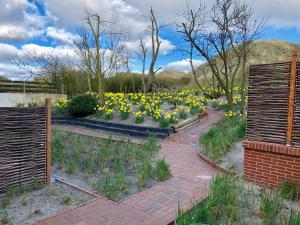 a garden filled with yellow flowers next to a fence at Haus Nordland in Juist