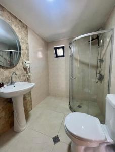 y baño con ducha, lavabo y aseo. en Twin cottages kazbegi 2 en Kazbegi