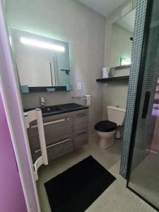 La salle de bains est pourvue d'un lavabo, de toilettes et d'un miroir. dans l'établissement Chez Hélène, à Bordeaux
