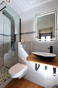 a bathroom with a sink and a toilet and a mirror at La Flémingîte in Scionzier