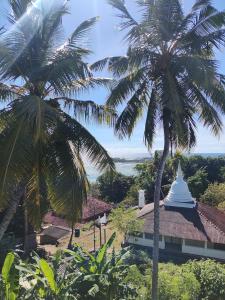 two palm trees in front of a building at Arazo villa in Unawatuna