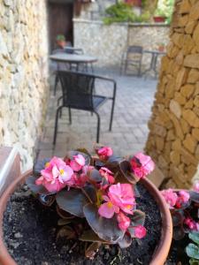 Patio alebo iná vonkajšia časť ubytovania Harmónia Wellness Villa