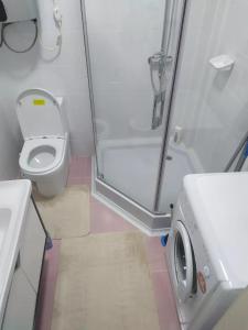 a small bathroom with a toilet and a shower at 1комнатная квартира in Bishkek