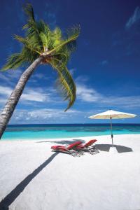 a palm tree and two chairs and an umbrella on a beach at OBLU NATURE Helengeli-All-Inclusive with free Transfers in North Male Atoll