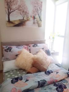 two animals laying on a bed in a bedroom at Unit 3J Signature Suites, Lafayette Megaworld in Iloilo City