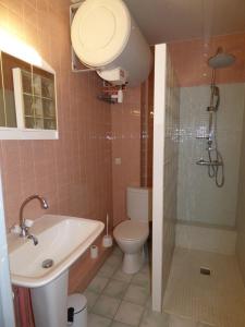 a bathroom with a toilet and a sink and a shower at Le Parc in Brioude