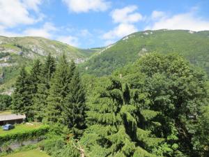 uma vista aérea de um vale com árvores e montanhas em Hôtel les Deux Cols em Sainte-Marie-de-Campan