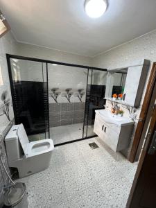 a bathroom with a toilet and a sink at Petra balcony apartment in Wadi Musa