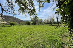 a field of green grass with mountains in the background at Les Gites de Louisette Le 974 in Ébreuil +16 photos
