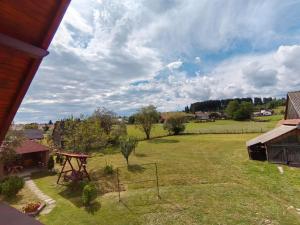 an aerial view of a yard with a picnic table at Casa Alex in Gălăuţaş