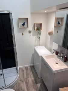 baño blanco con ducha y lavamanos en Studio Duplex Montmorillon, en Montmorillon