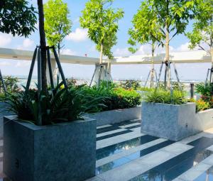 a pair of concrete planters with trees and plants at Apec Mandala hotel & suites Hải dương in Hải Dương
