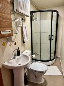 uma casa de banho com um WC, um lavatório e um chuveiro em Melkan Otel Guest House em Istambul