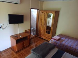 a living room with a couch and a tv in a room at Fleurvilla in Pereybere