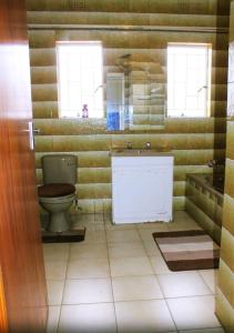 ein Badezimmer mit einem WC und einem Waschbecken sowie zwei Fenster in der Unterkunft NSK GUEST HOUSE in Alberton