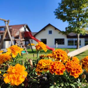 Zahrada ubytování Frühstücks-Pension Lichtenauer Hof