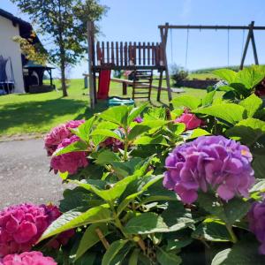 Zahrada ubytování Frühstücks-Pension Lichtenauer Hof
