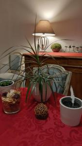 einem Tisch mit einer Topfpflanze auf einem roten Tischtuch in der Unterkunft 1 Chambre double "Le Devenir" in Saint-Julien-les-Villas