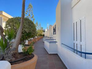 a walkway with potted plants on the side of a building at mirazul mojacar in Mojácar