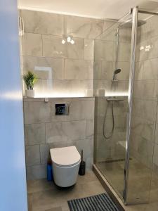 een badkamer met een douche, een toilet en een glazen douchecabine bij Gero's One Bedroom apartment London NW8 in Londen
