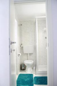聖塞韋羅的住宿－Deluxe Home，浴室设有卫生间和带绿色地毯的淋浴。