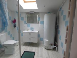 La salle de bains est pourvue de toilettes blanches et d'un lavabo. dans l'établissement Désirée, à Brioude
