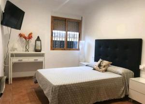 Dormitorio con cama, escritorio y TV en Villa Holiday, en Castellón de la Plana