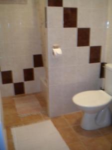 a bathroom with a toilet and a shower at Chalupa Tourov in Bavorov