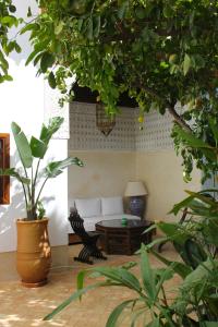 Zahrada ubytování Riad El Morocco Hotel