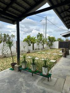 a group of potted plants sitting on a bench at ASFA Guesthouse in Alor Setar