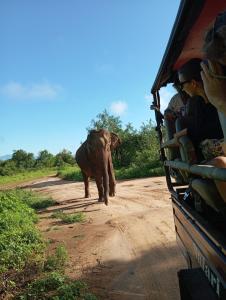an elephant walking down a dirt road next to a bus at Tusker's Paradise Safari Villa in Udawalawe