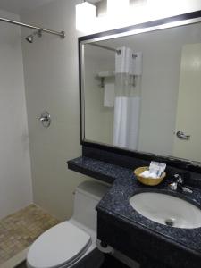 a bathroom with a toilet and a sink and a mirror at Hotel Bliss - Brooklyn in Brooklyn