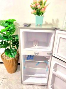 an open refrigerator with a plant and flowers in it at Mi mini estudio 2 in Rabat