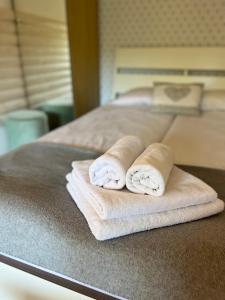 Postel nebo postele na pokoji v ubytování Ski & Spa Zakopane sauna & jacuzzi free