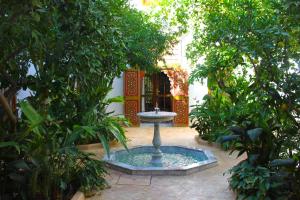 Zahrada ubytování Riad El Morocco Hotel