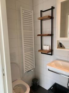 a bathroom with a toilet and a sink at Christinahoeve Hooiberg #6 in Boskoop +26 photos