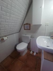 une petite salle de bain avec toilettes et lavabo dans l'établissement Ático en pleno pirineo, à El Pueyo de Jaca