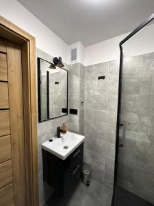 a bathroom with a sink and a shower at Wczasowa Przystań in Ustroń