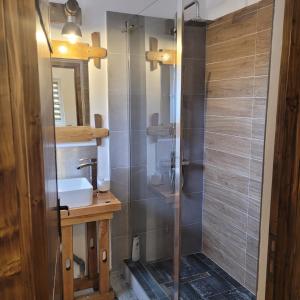 a bathroom with a shower with a sink and a mirror at Casa LADIS in Iernut