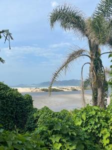 uma palmeira e o oceano no fundo em Guarda Flats em Guarda do Embaú