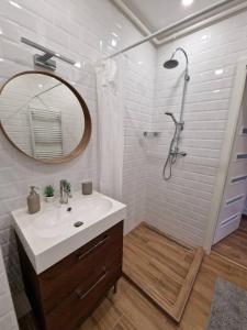 a bathroom with a sink and a shower with a mirror at Szofi Apartman in Szeged