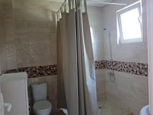 uma casa de banho com um WC e um chuveiro com uma cortina de chuveiro em Apartment Lia em Masline