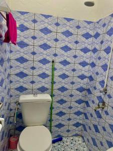 a bathroom with a toilet and blue and white tiles at LNIMMO-LAGRACE-Studio calme avec internet illimité et forage in Yaoundé