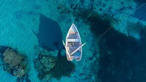 Amwaj Beach Club Abu Soma في الغردقة: اطلالة جوية على قارب في المحيط